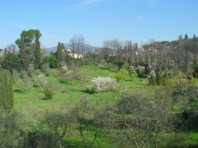 Villa Ulivi Floransa Dış mekan fotoğraf